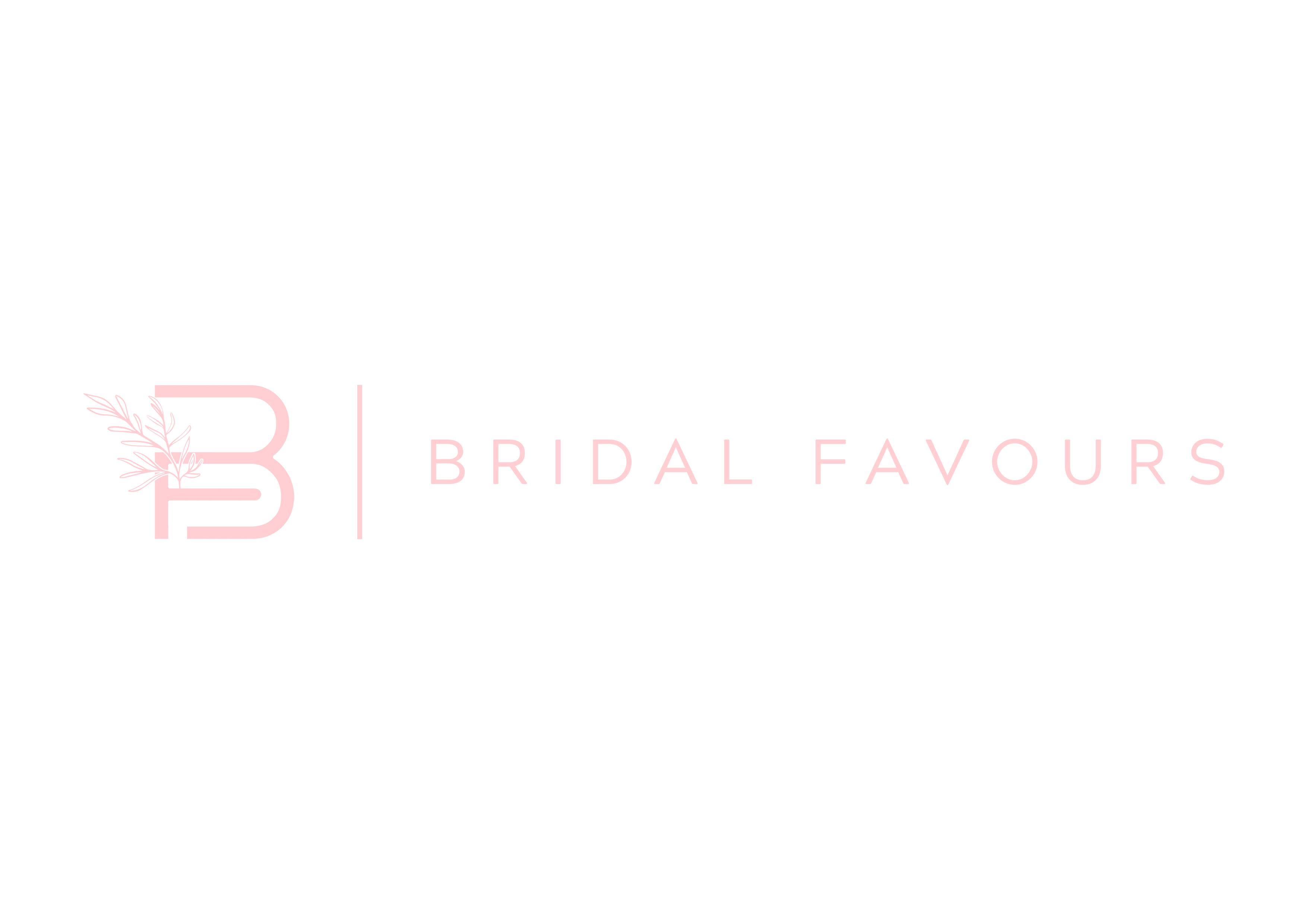 Bridal Favours Accessories, Earrings, Robes